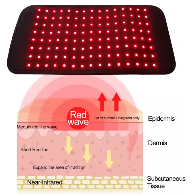 Red Light Belt